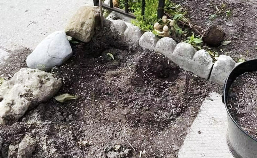 偷竊案無奇不有 前園植物花朵成賊人目標