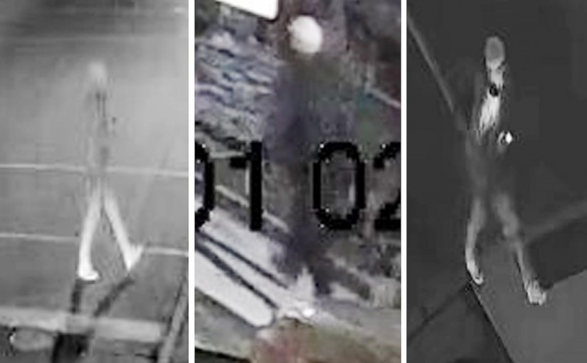 54歲女子凌晨市中心步行期間遭性侵