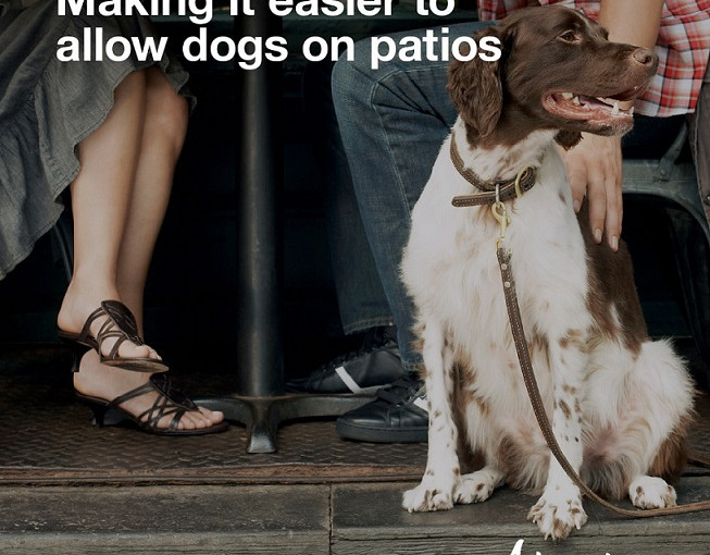 亞省提供狗狗友善露天茶座