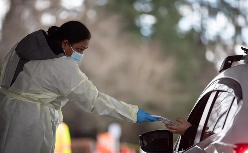 有「腦霧」症狀嗎？這兩間卑詩公司希望幫到你