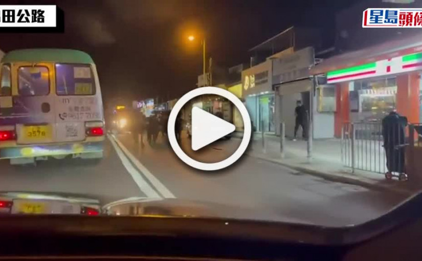 (視頻)與牛同行｜錦田公路現港版「奔牛節」 5隻牛牛行車線狂奔