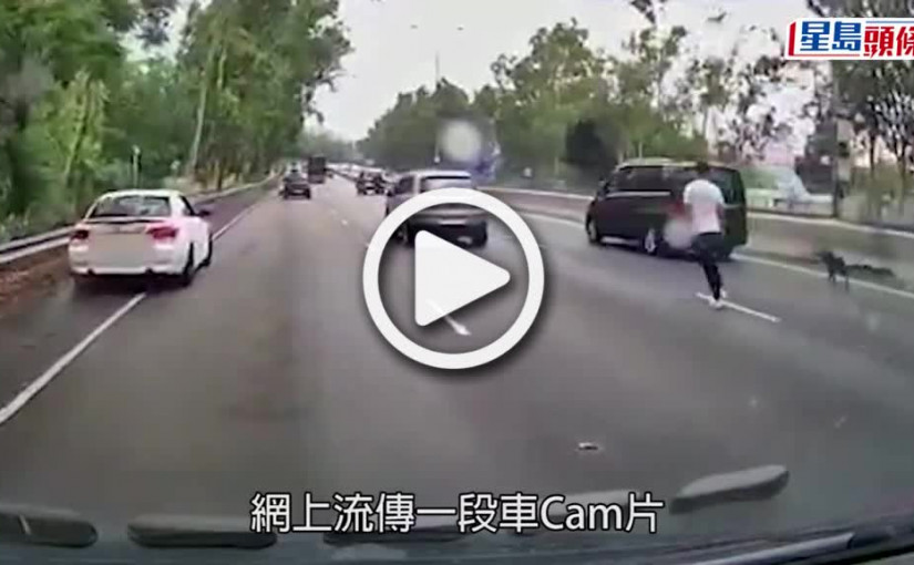 (視頻)車Cam直擊｜黑狗誤闖新田公路亂跑 眾司機幫手成功攔截
