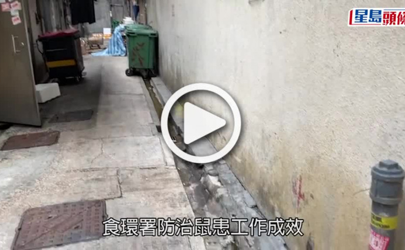 (視頻)防治鼠患成效｜食環放藥餌無開封減成效 申訴署指承包商曾稱老鼠自行扯開進食