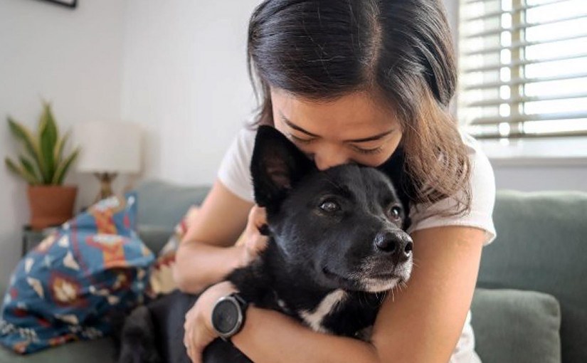 研究稱患者與寵物親密接觸 新冠病毒可互相傳播