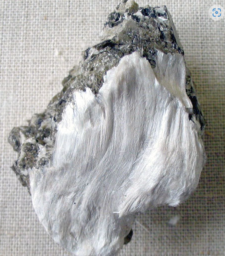 違反石棉規定 列治文兩間公司被罰款