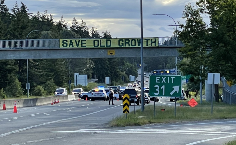 拯救樹木團體再次堵塞主要公路　14名示威者被捕