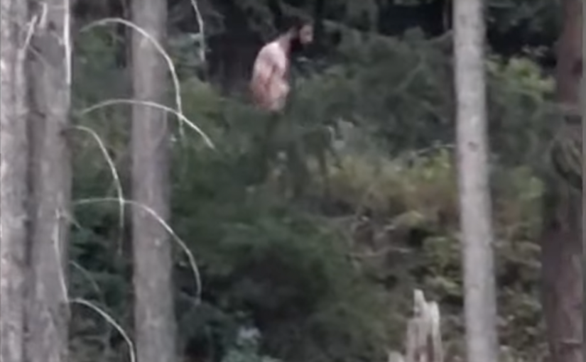 卑詩故意縱火男子有條件釋放