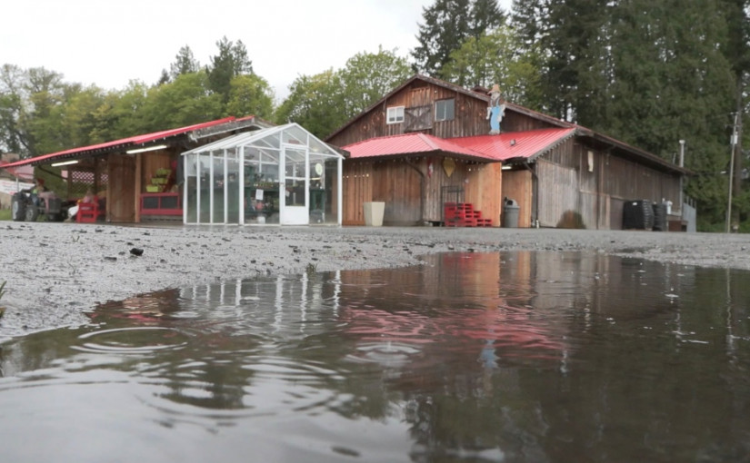 未來數周若有極端天氣  卑詩部分地區或將遇洪
