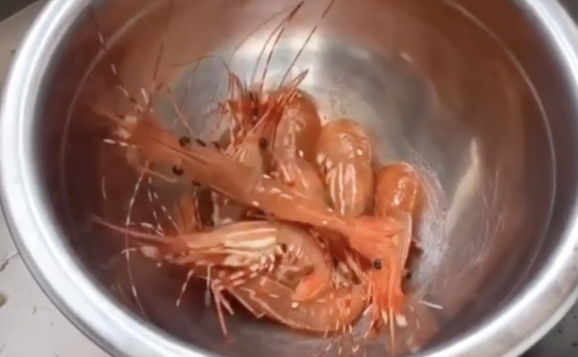 列治文海鮮公司斑點活蝦受諾如病毒污染現被召回