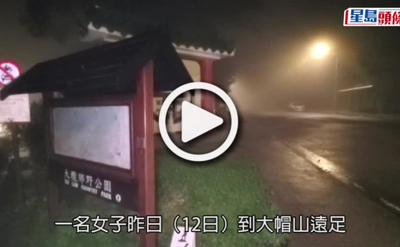 (視頻)全城尋Milkshake｜布偶貓大帽山走失網民尋回 貓主1萬元「薄酬」捐動物組織