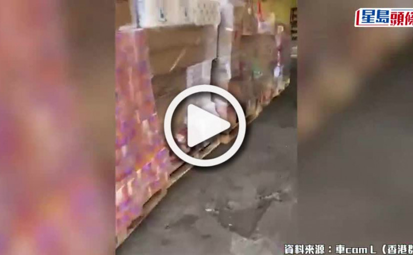 (視頻)四面圍城丨華富邨客貨車疑誤泊落貨區 遭貨物包圍無得走