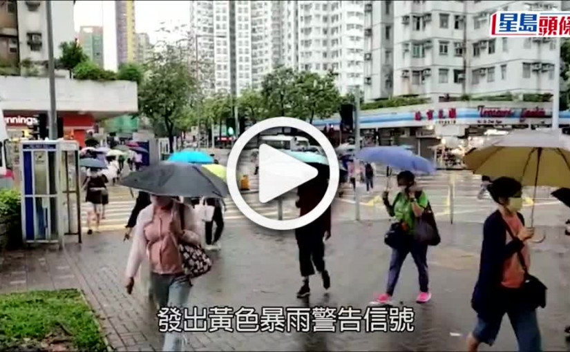 (視頻)大樹倒塌｜黃雨下灣仔10米高大樹倒塌 橫亙行人路無人傷