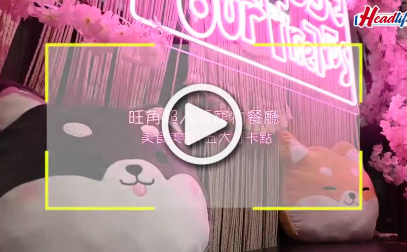 (視頻)旺角超人氣寵物餐廳 美食美容 五大打卡點