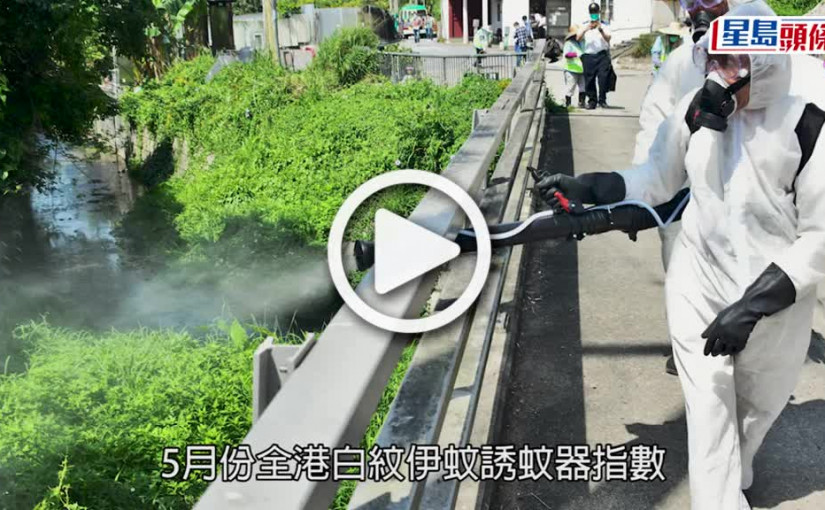 (視頻)蚊患黑點｜上月蚊患指數二級水平屬頗廣泛  西環筲箕灣等6區高於警戒水平