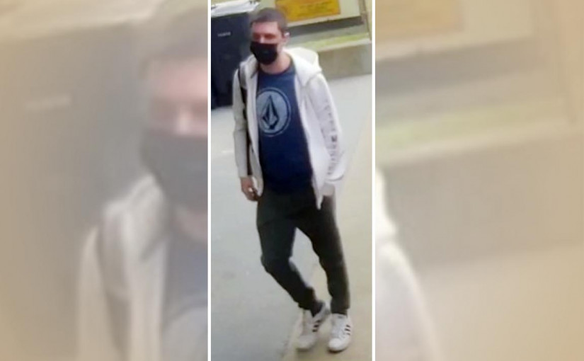 士嘉堡巴士襲擊同車女子 警發圖緝涉案男