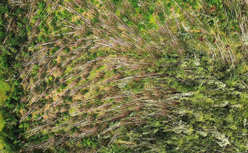 彼德堡東部確認被時速175公里EF-1級龍捲風吹襲