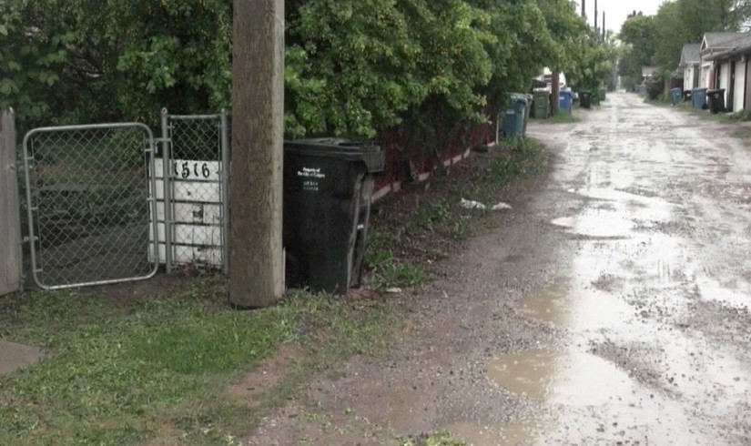 市政府：上月涉及襲擊致女長者死亡的狗隻或被安樂死