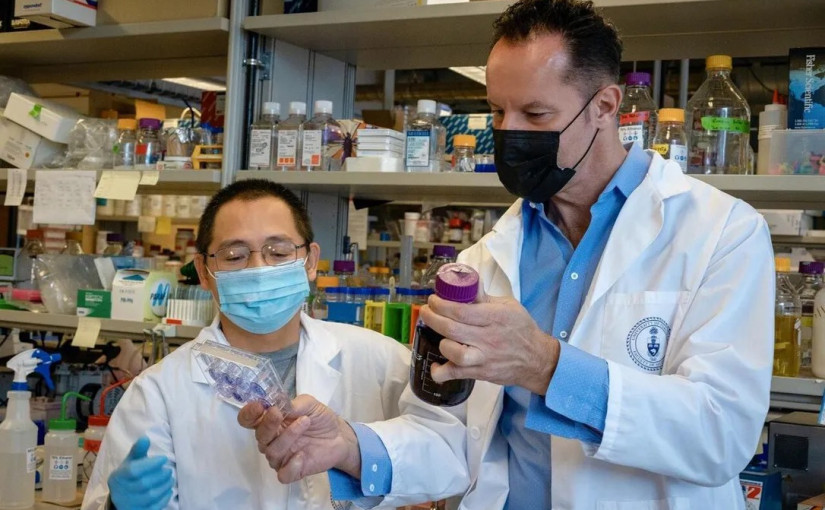 打過疫苗得過新冠就不會再感染？ 錯！之前的抗體對奧米克戎無效！