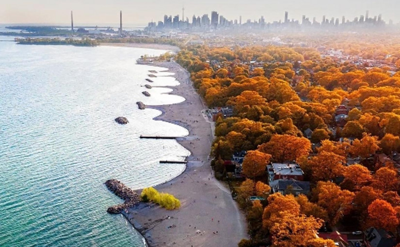 安省秋季乾燥兼和暖 今年楓葉最燦爛時間或推遲1周