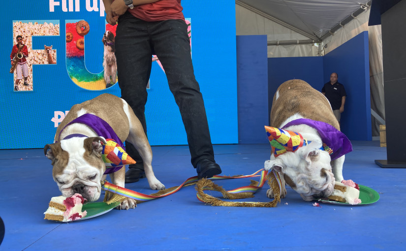 PNE Fair強勢回歸  多場新舊表演共慶歡樂夏日