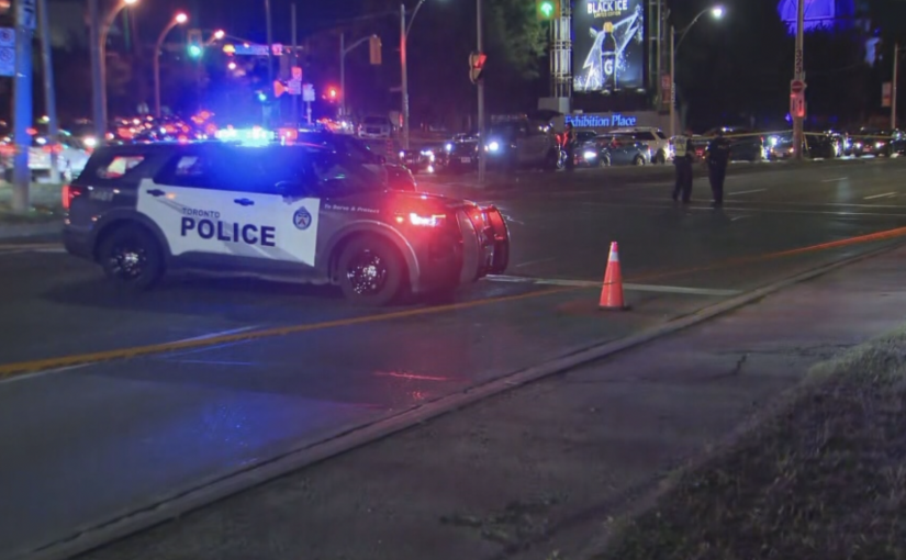 男子在湖濱被汽車撞傷 危殆入院