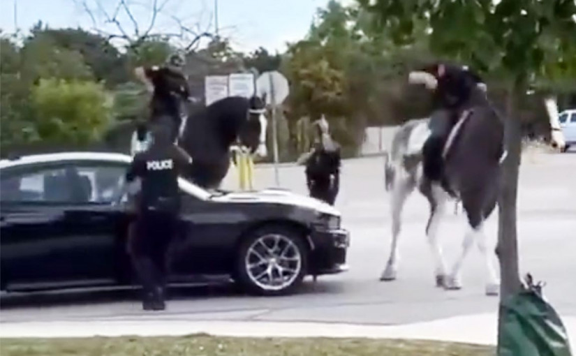 【有片】多倫多警騎馬路奔馳 成功追捕3名涉嫌劫匪