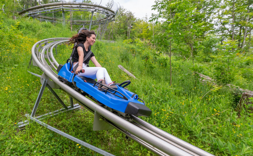 穿過多倫多以北森林的叢林過山車
