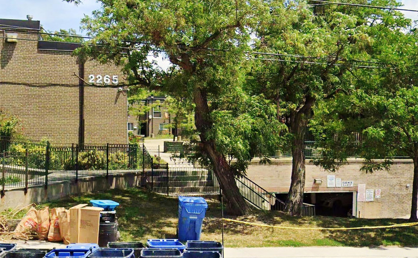 北約克23歲女子遭槍殺案 33歲涉案男被捕控1級謀殺