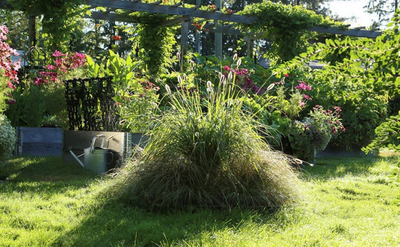 植物學家後花園造甲蟲之家