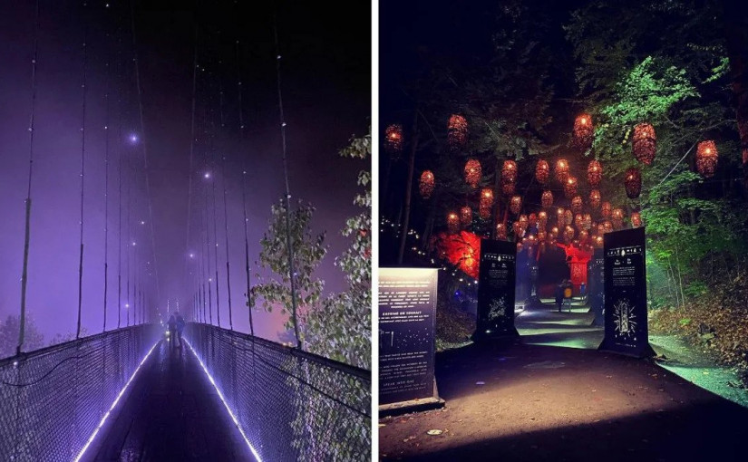 迷人夢幻燈光小徑 彷如進入童話世界