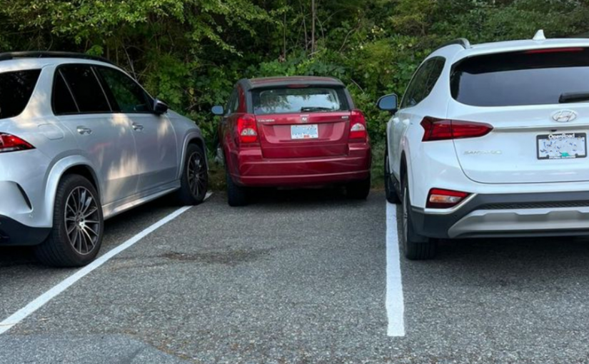 網民開群組抨大溫馬路殺手多 呼籲停車技術有待加強