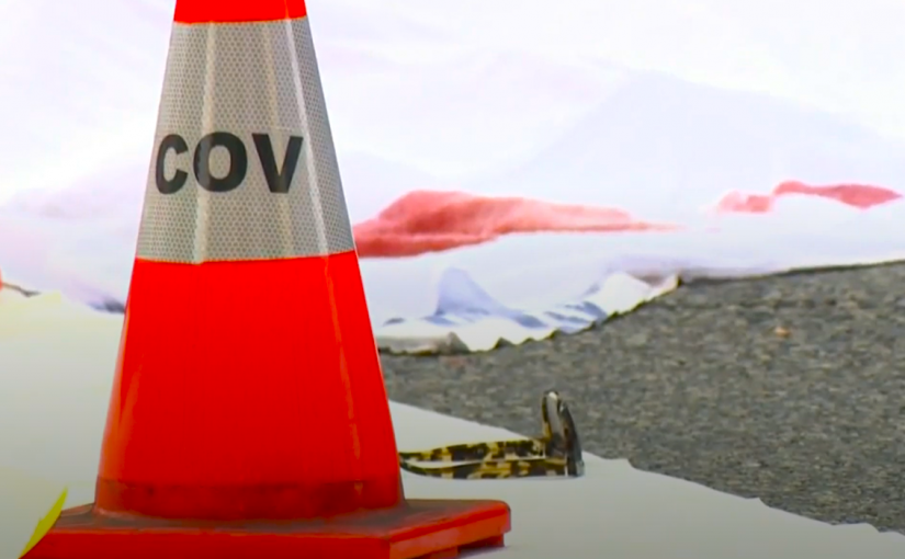 溫哥華市中心發生致命車禍 女途人被旅遊巴撞斃