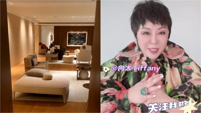 向太過億豪宅曝光！大廳坐到50人樓底極高 飯枱坐到幾圍人靚過五星酒店