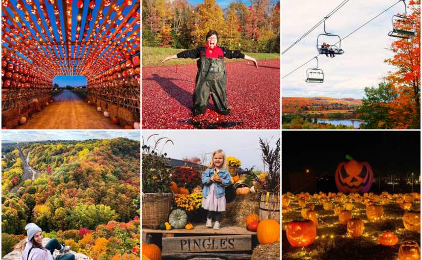 多倫多附近的8個秋季活動 便宜享受美好時光