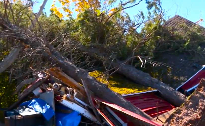 新省及愛島仍有數萬戶家庭停電