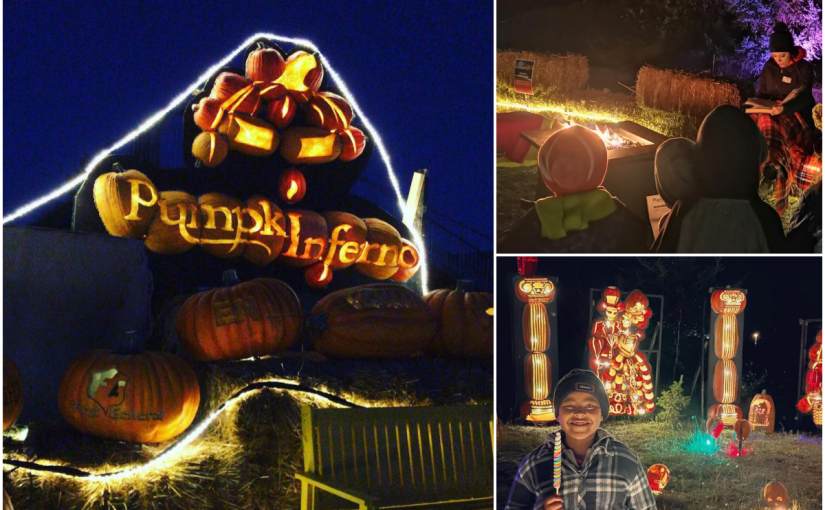 【好去處】走過發光南瓜小徑 聆聽令人毛骨悚然的篝火故事