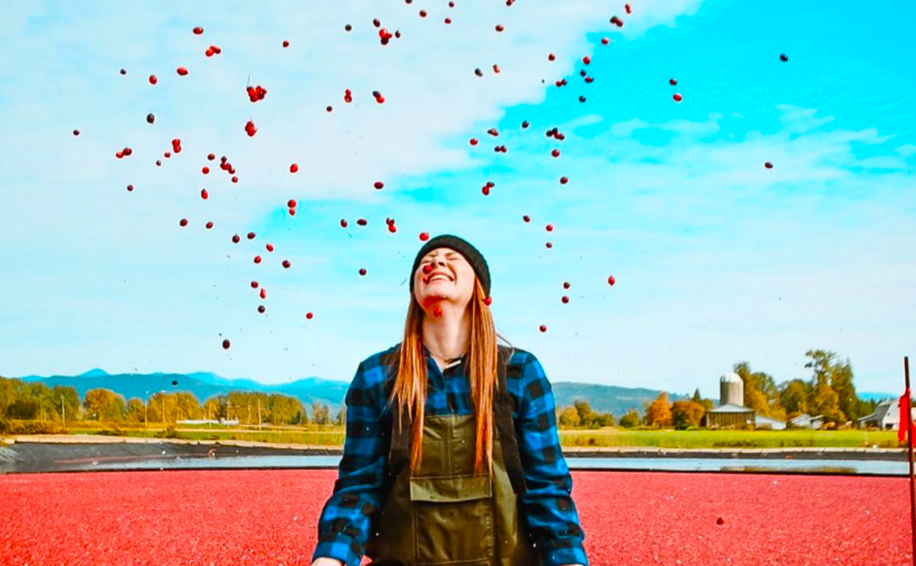 【好去處】蔓越莓收成季 紅寶石海洋成熱門打卡點