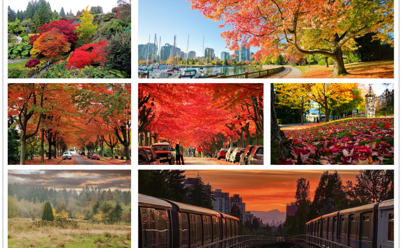 【好去處】戀之「楓」景 漫遊大溫最美之路