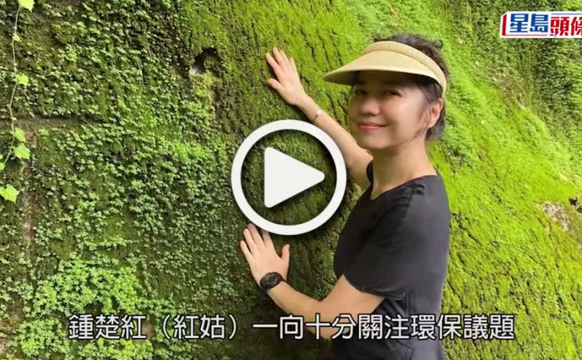 (視頻)環保議題｜鍾楚紅淡妝現身被迫遷「喵坊Mil Mill」 曾到志記鎅木廠打氣淡出後關心社會