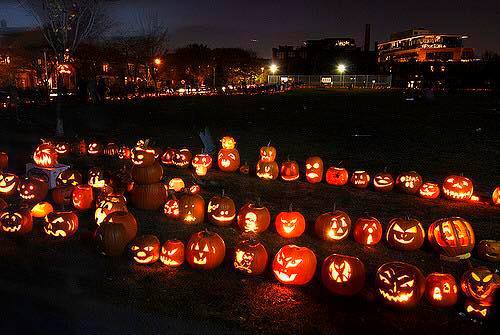 10個南瓜巡遊重返多市各大公園！ 就在萬聖節翌日舉行