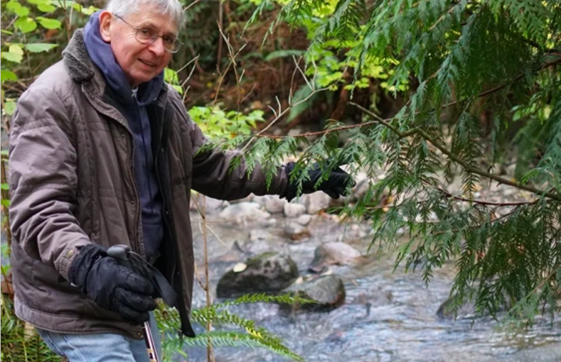 道路撒鹽危及小三文魚  專家教你這樣做