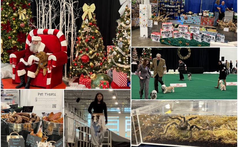 【現場直擊】周末多倫多聖誕寵物節 帶毛孩與聖誕老人留倩影