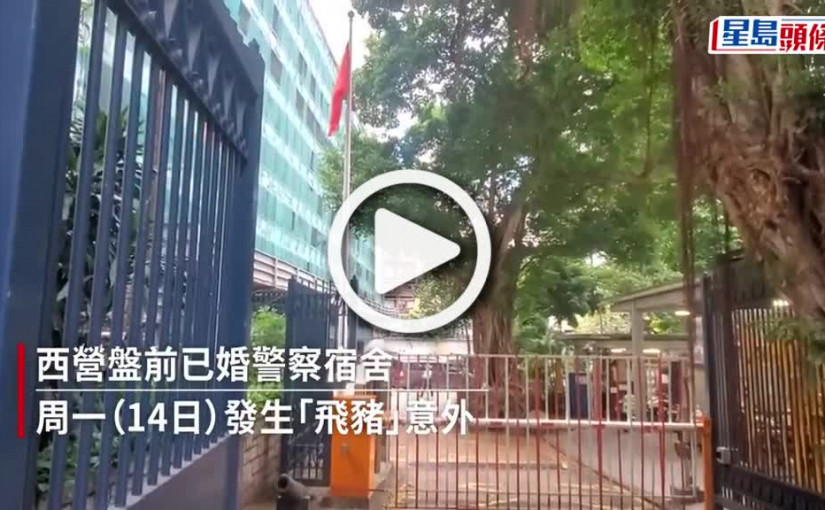 (視頻)西營盤飛天豬｜野豬登西區警察宿舍天台 失足飛墮7樓不治