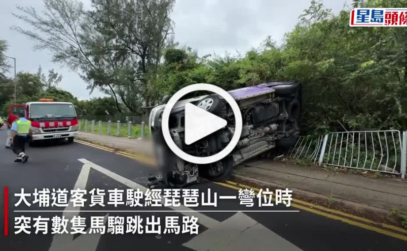 (視頻)閃避馬騮｜「齊天大聖」列隊出巡 客貨車大埔道扭軚閃避翻側