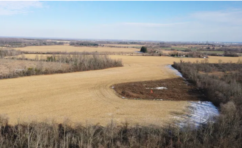 公眾多不支持綠帶建房計劃   省府一意推行