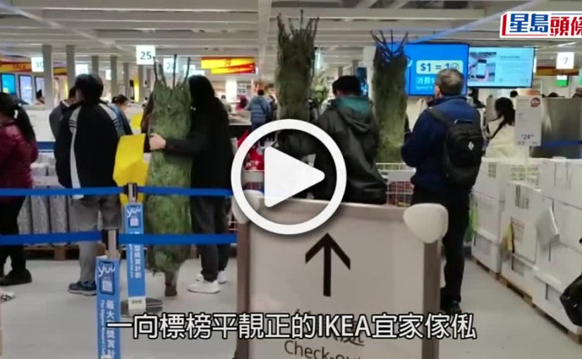 (視頻)IKEA割價$50傾銷2米「真聖誕樹」 出帖2小時內清空貨架變「剩草」