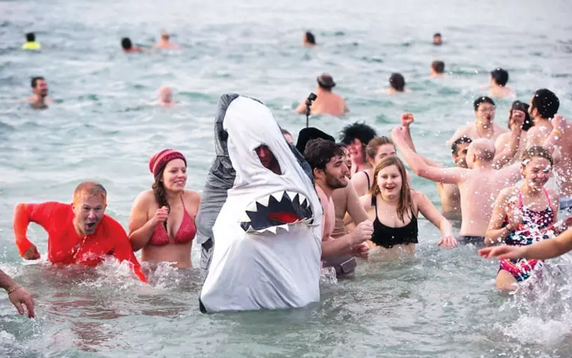 新年傳統回歸  溫哥華「北極熊冬泳」要回來了