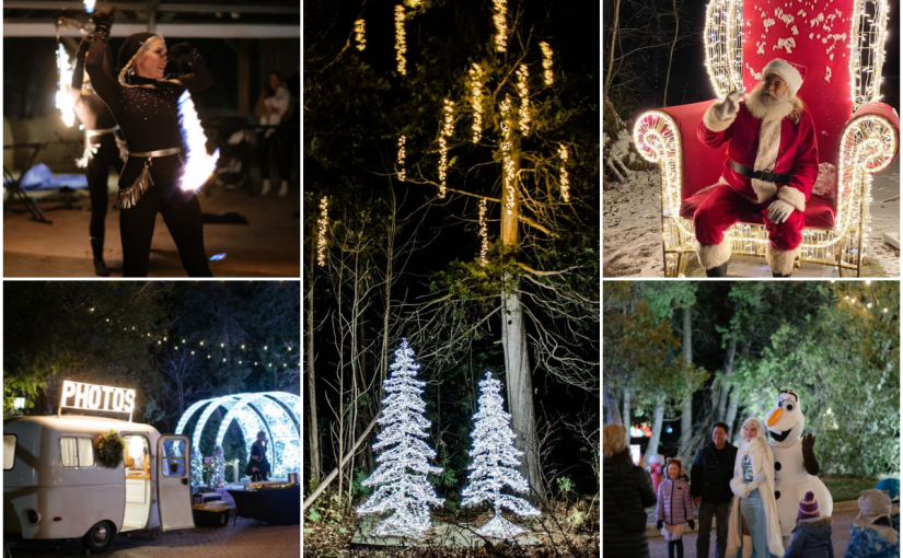 萬錦聖誕小徑睇火舞表演 穿過星光燦爛森林享用燭光晚餐