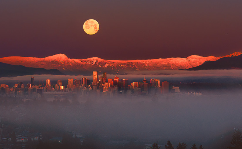 大溫藝術風情萬種  陶冶性情過一個雅緻冬季
