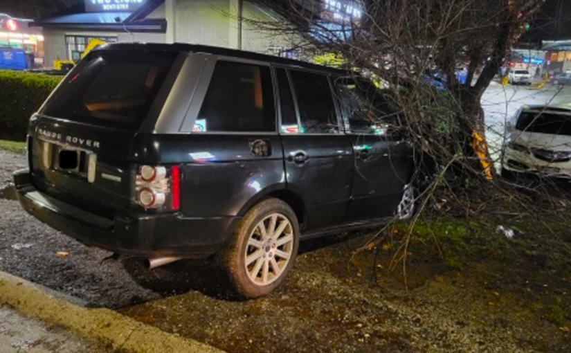 路虎司機撞樹後逃逸 RCMP出動直升飛機追捕